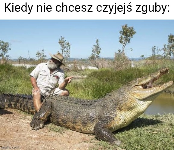 e973b5d0-04e0-4405-86fa-828a9c12af5c