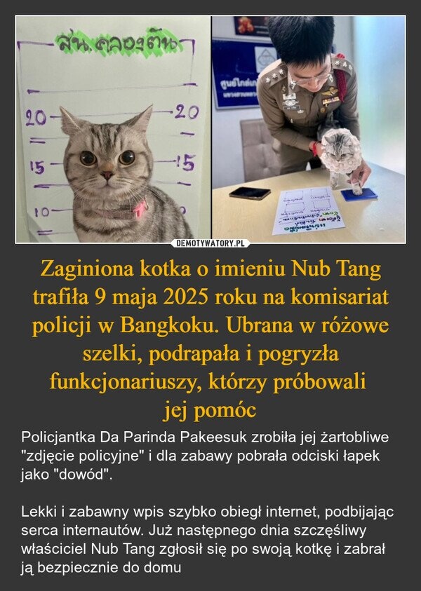 e9d6614d-d09f-4044-a7a3-f624c0434376