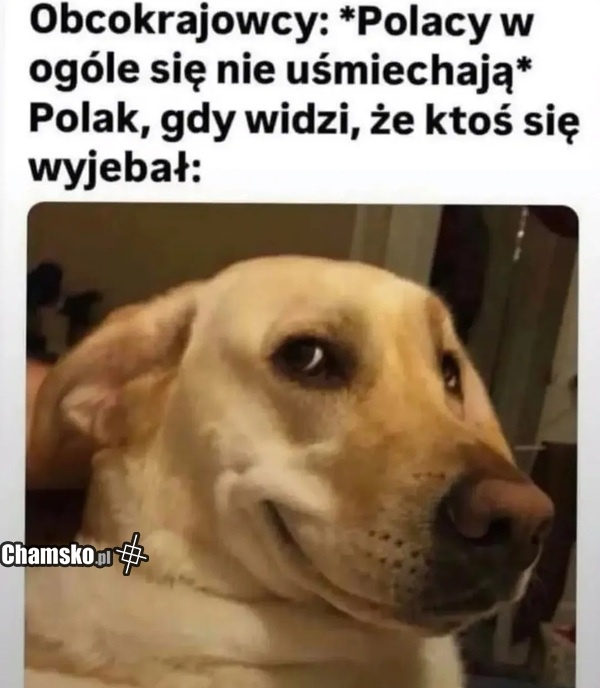 a566cf1a-b7bf-4eb3-bebb-01321ceae087