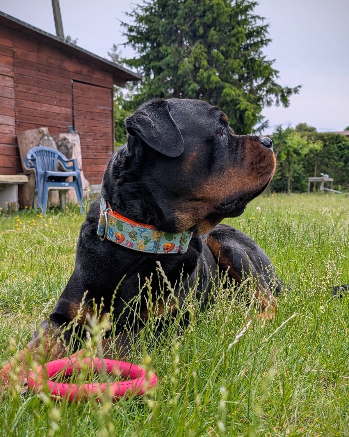 7e1d056f-66ef-42dc-a47f-37127a01ffd1