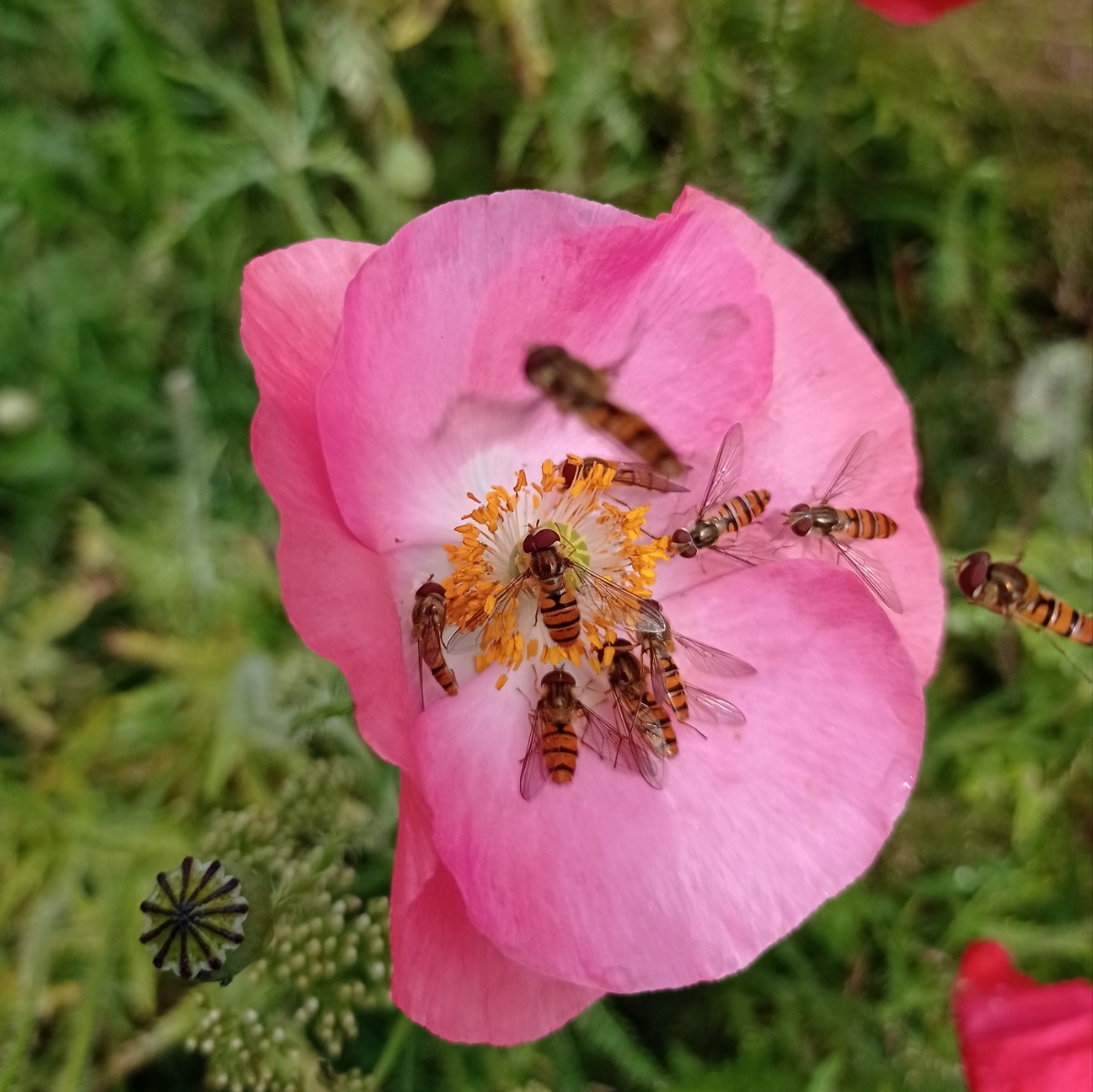 edf70777-19e2-414b-b3db-c76f7295c341