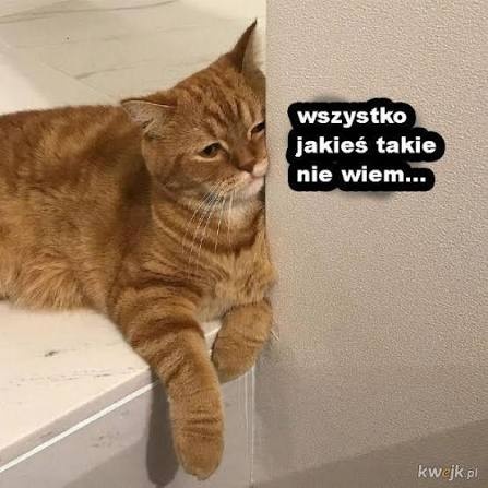 9fc64237-3da3-46f2-991f-8743d8684cf1