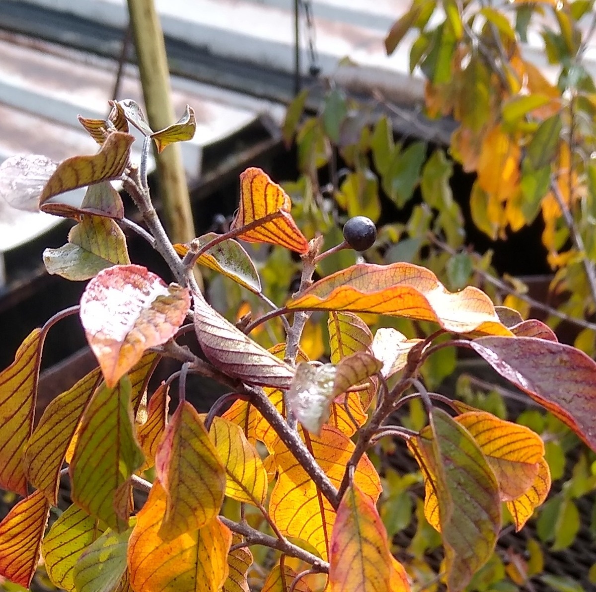 e88d819c-e9fc-48ff-8e3e-1fcc11b50cd2