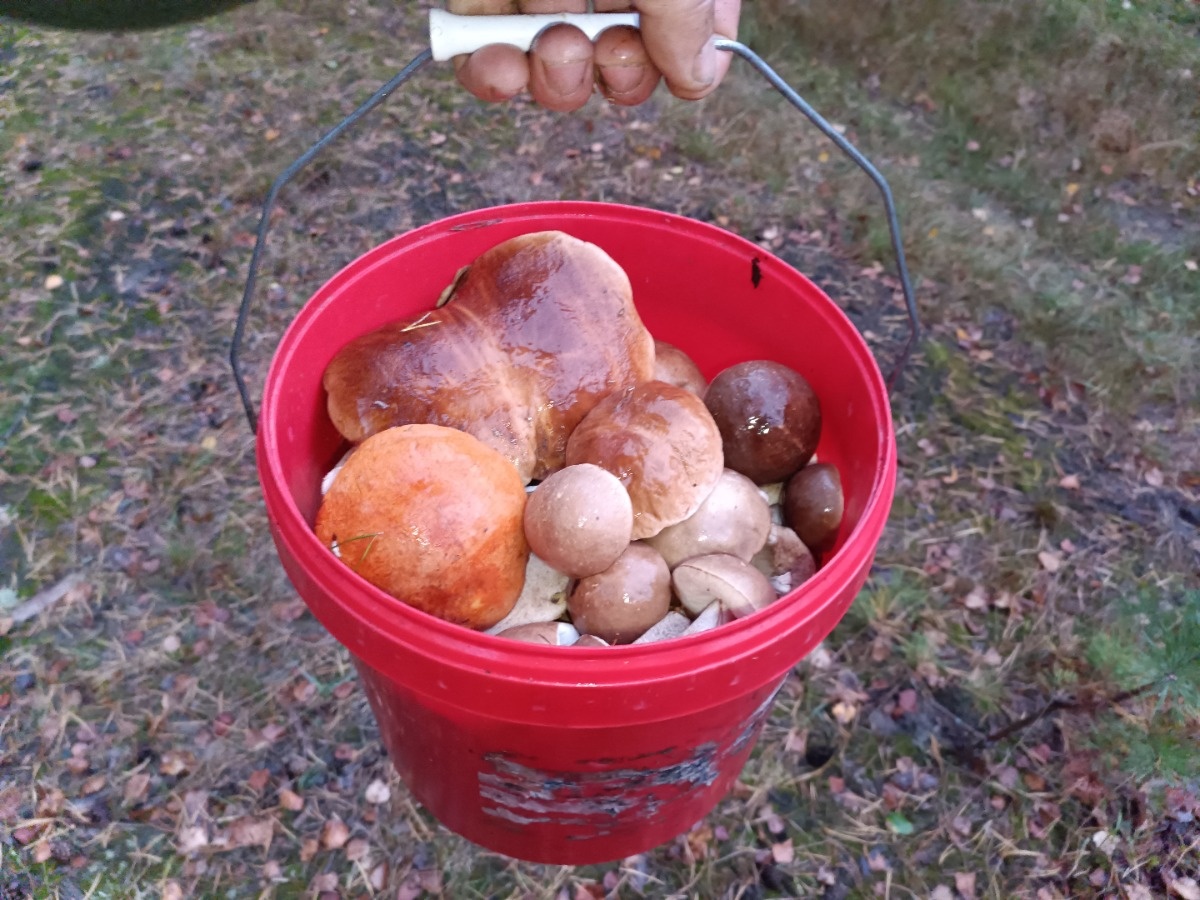 dee884a4-963a-48fe-a60a-584c5049353b