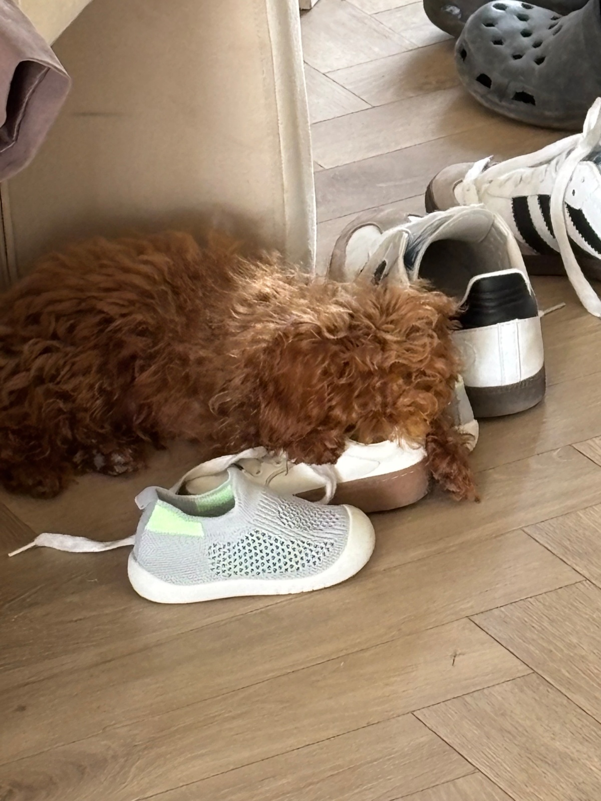 300d9eec-c612-4ea0-ad76-023f5c6834ae