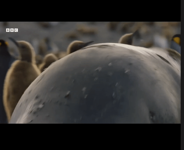 fb5ef201-cae3-4b4e-81dc-294caf37cc33