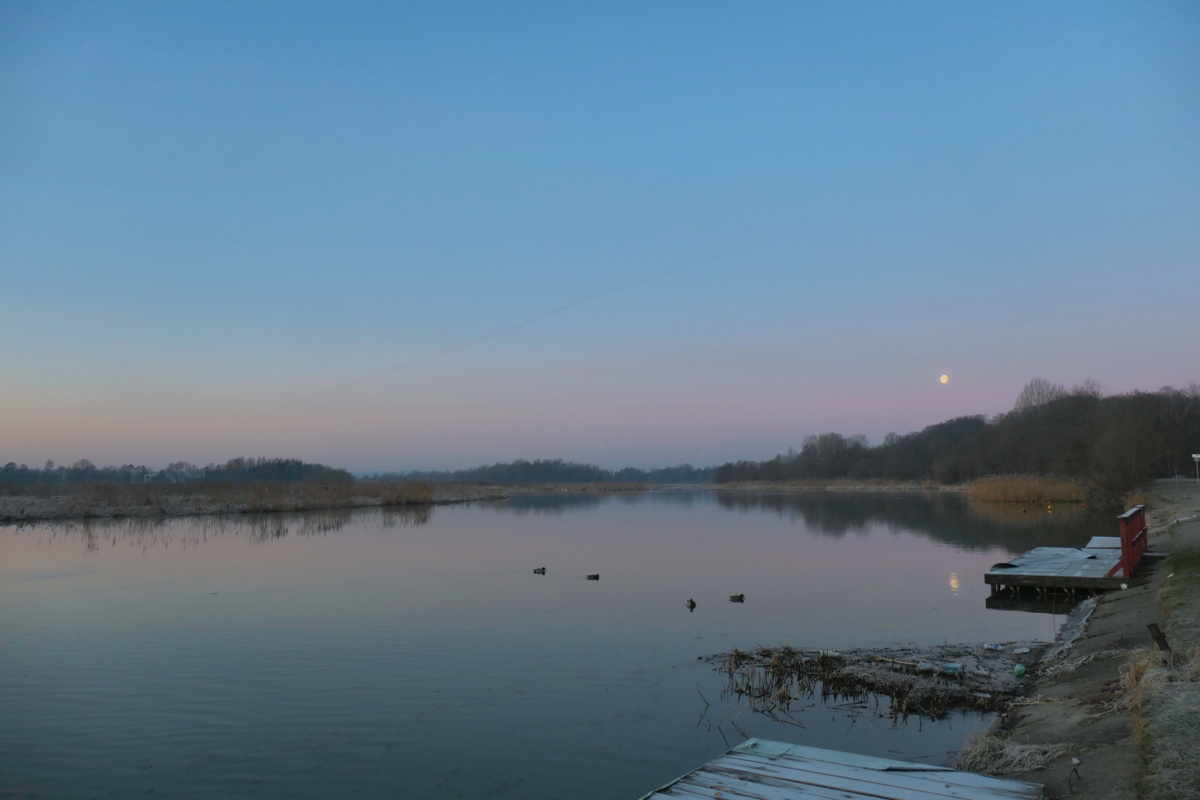 c36aab55-08fe-49e9-87ab-652cbc11a705