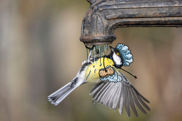 ba7365ef-94f5-4d15-9b9b-d0f7636140d8