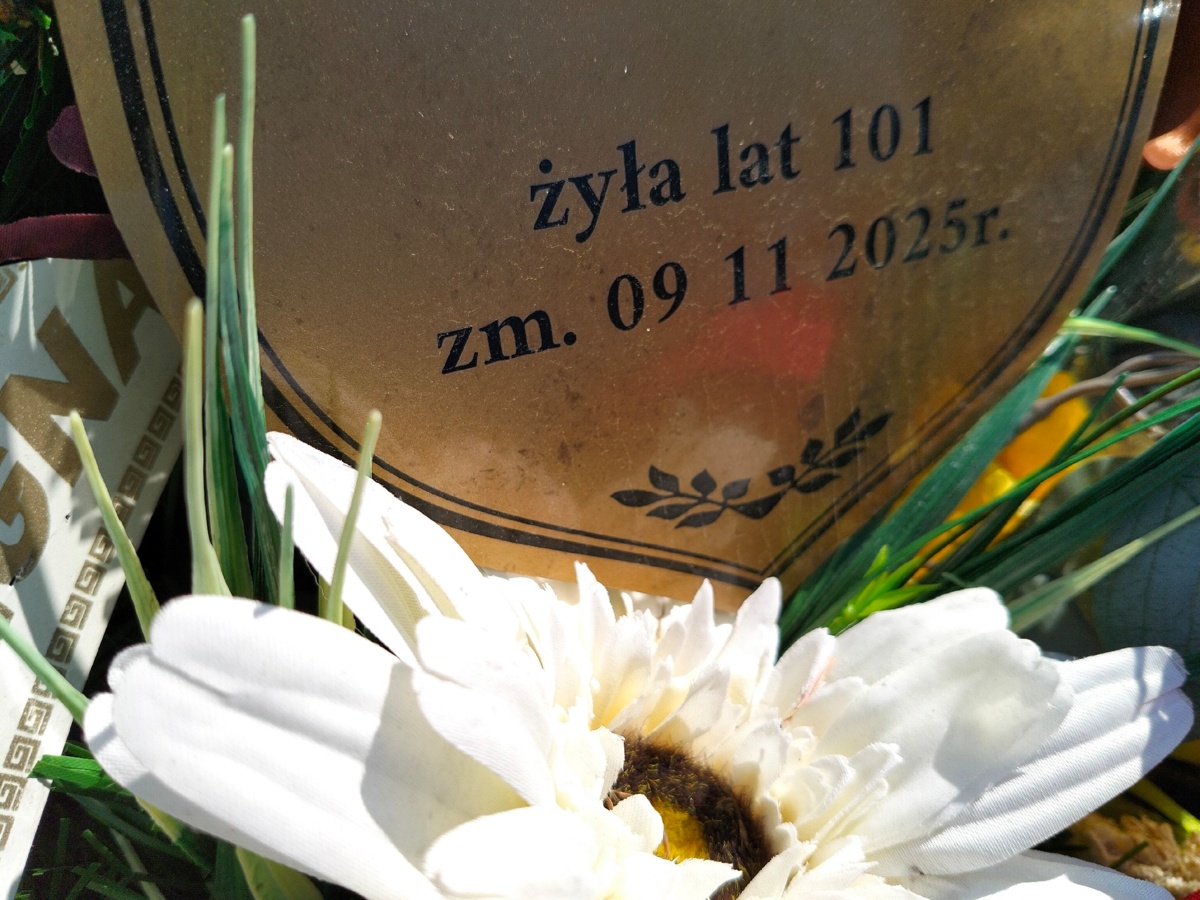 5ca3d475-b76e-4644-8f8b-ad13165c0d5c