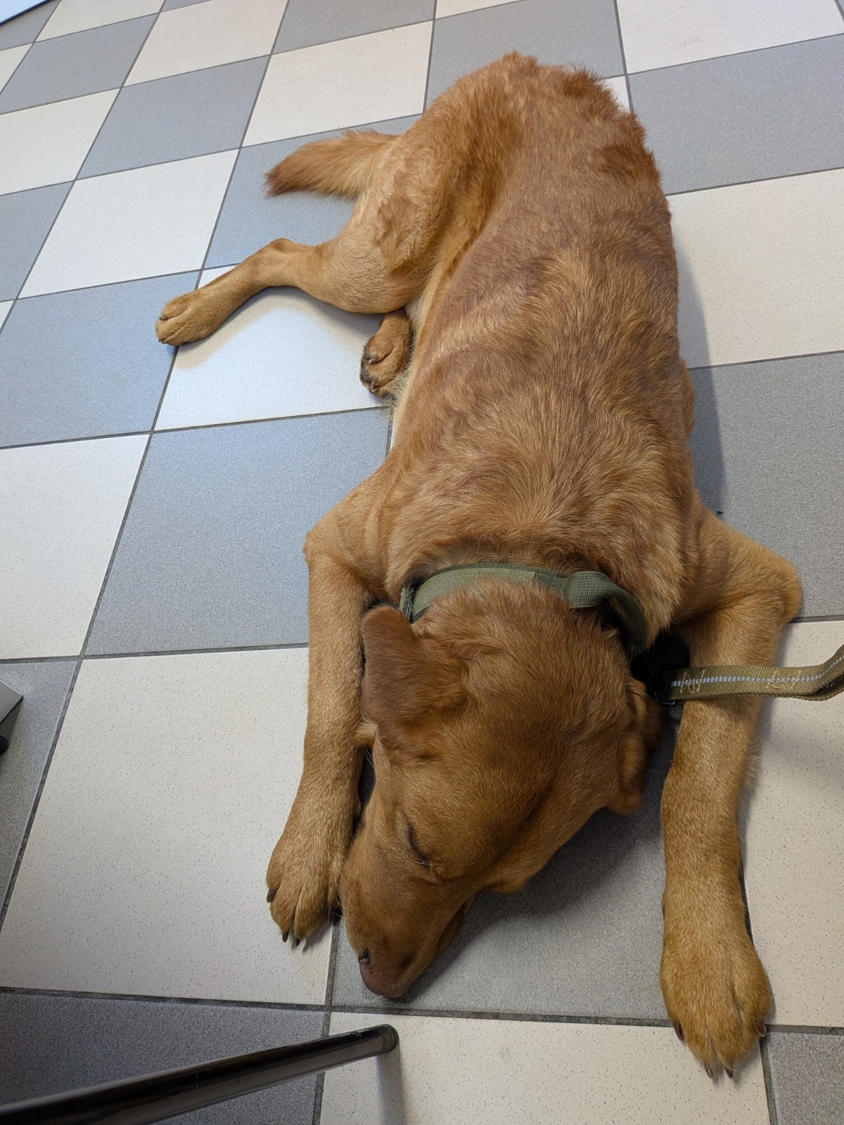 1ee0297e-8f83-4b1f-8b66-bb8c1b708935