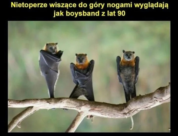 d0ee101b-af2d-49de-8a65-a476f979627b