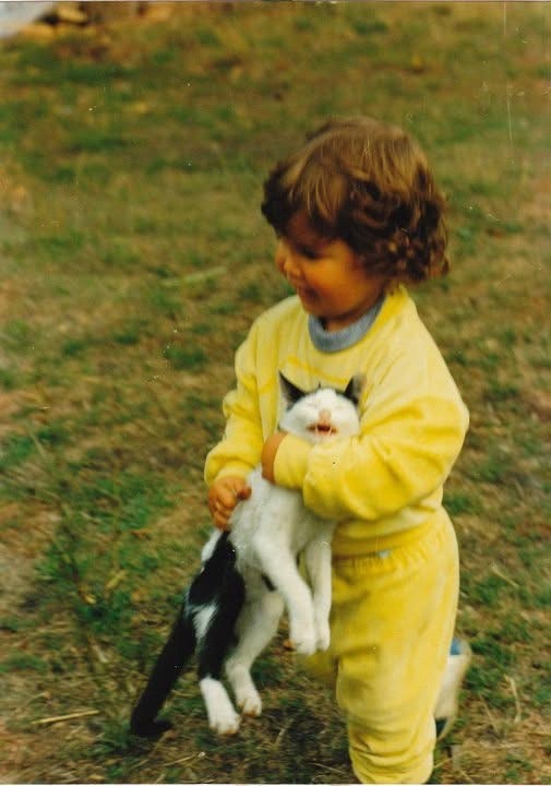 f0517c76-1331-4d42-ad38-c2c84ce85825