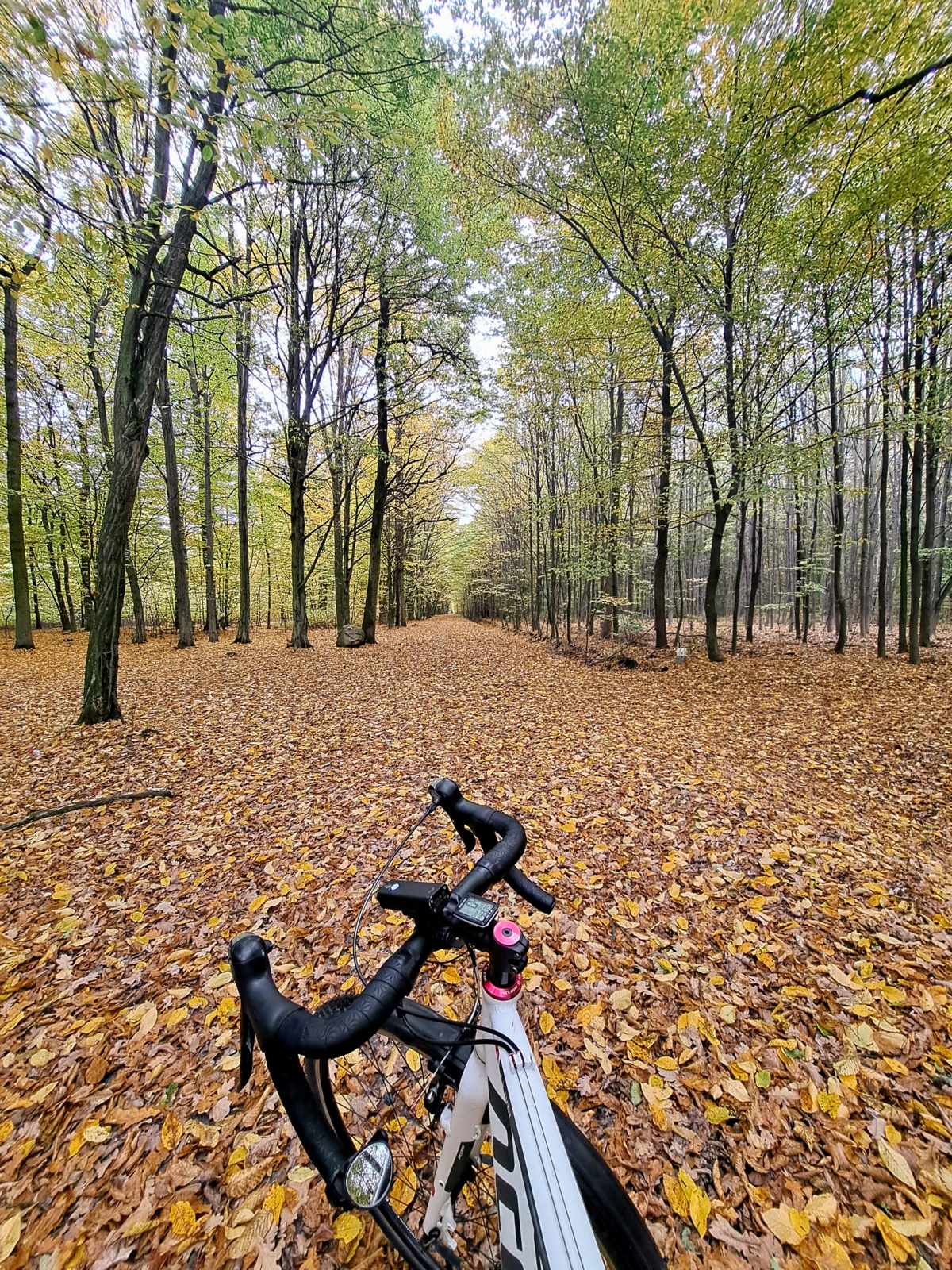 13fabfb4-b14d-4eaf-9bc2-80857d9ca285