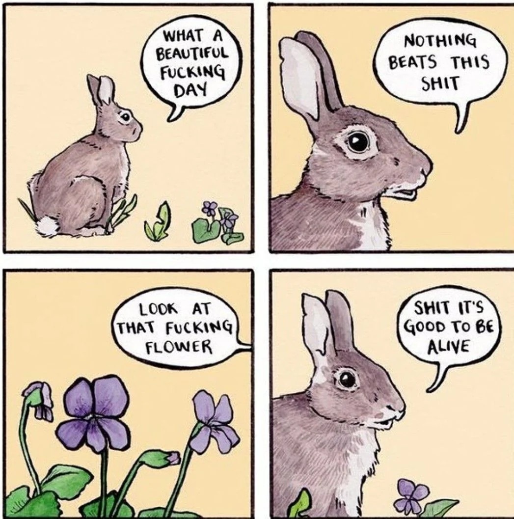 373a4341-2a77-4cc8-bafc-a3244e54f593