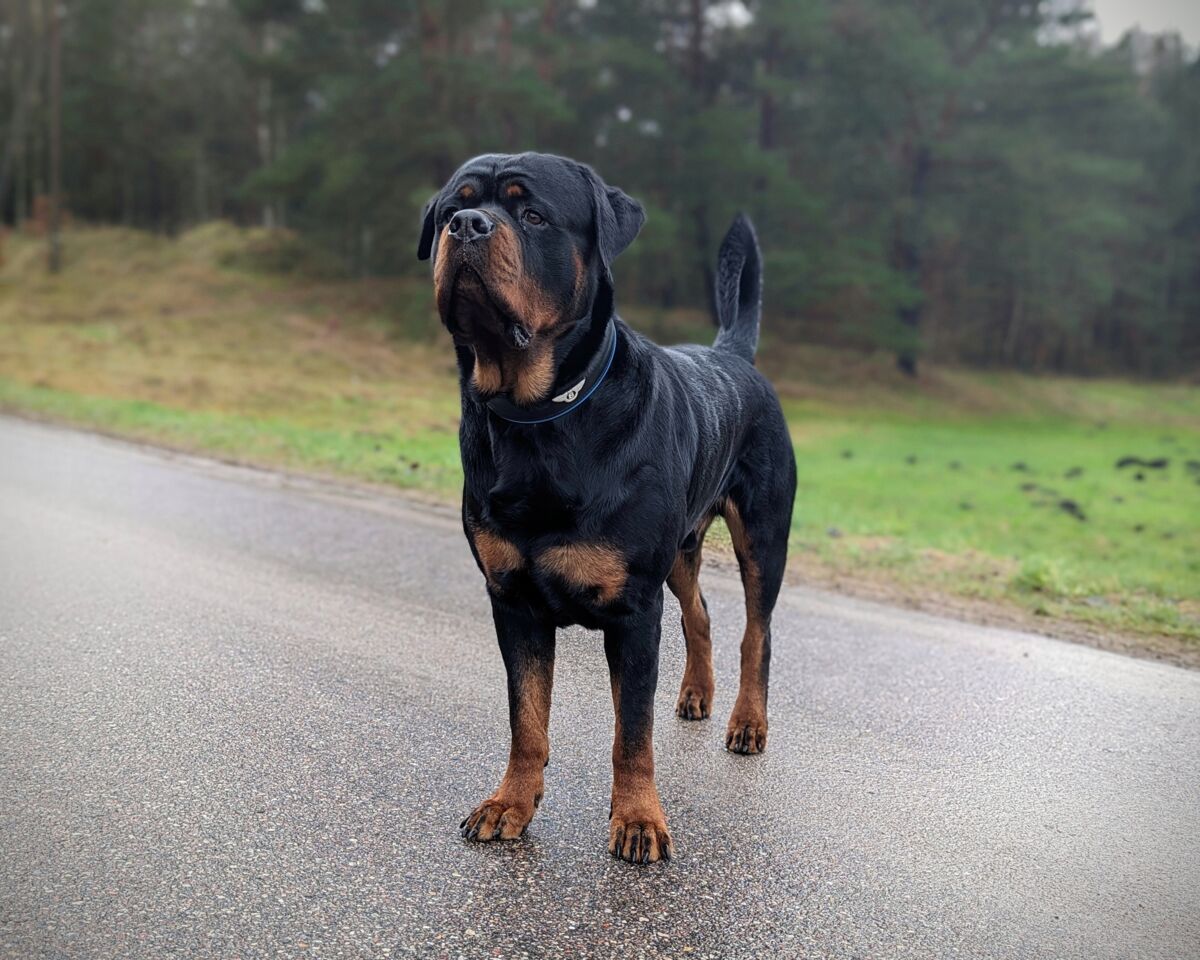 64e4d390-0688-48da-8f52-d3279b73b790