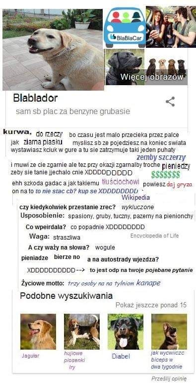 79712e79-b556-4fd2-9363-3bb844e6f8ec