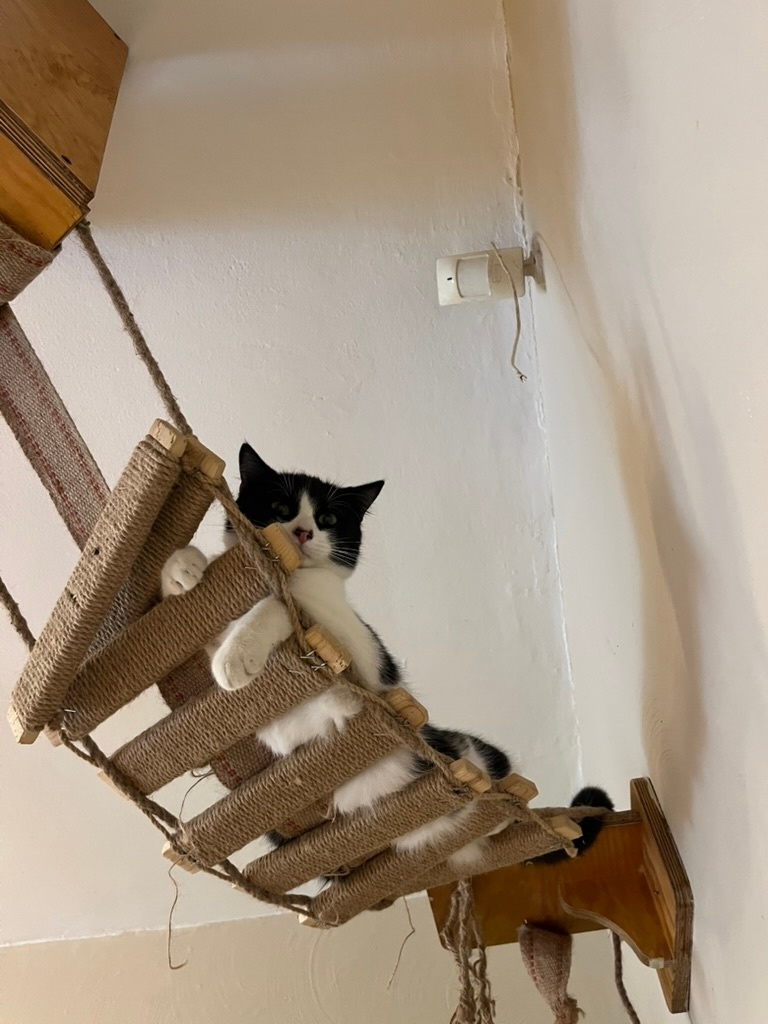 42bcf260-6883-4a3c-b287-8bf6c4b5a9bd