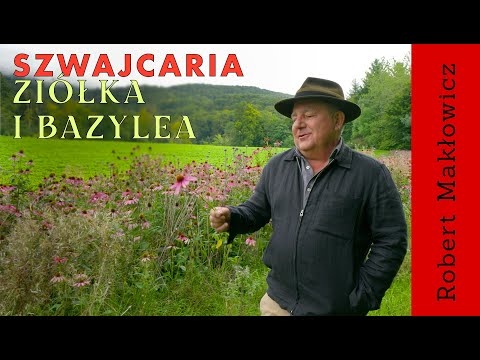 „ Ziółka i Bazylea" - ROBERT MAKŁOWICZ SZWAJCARIA odc.246