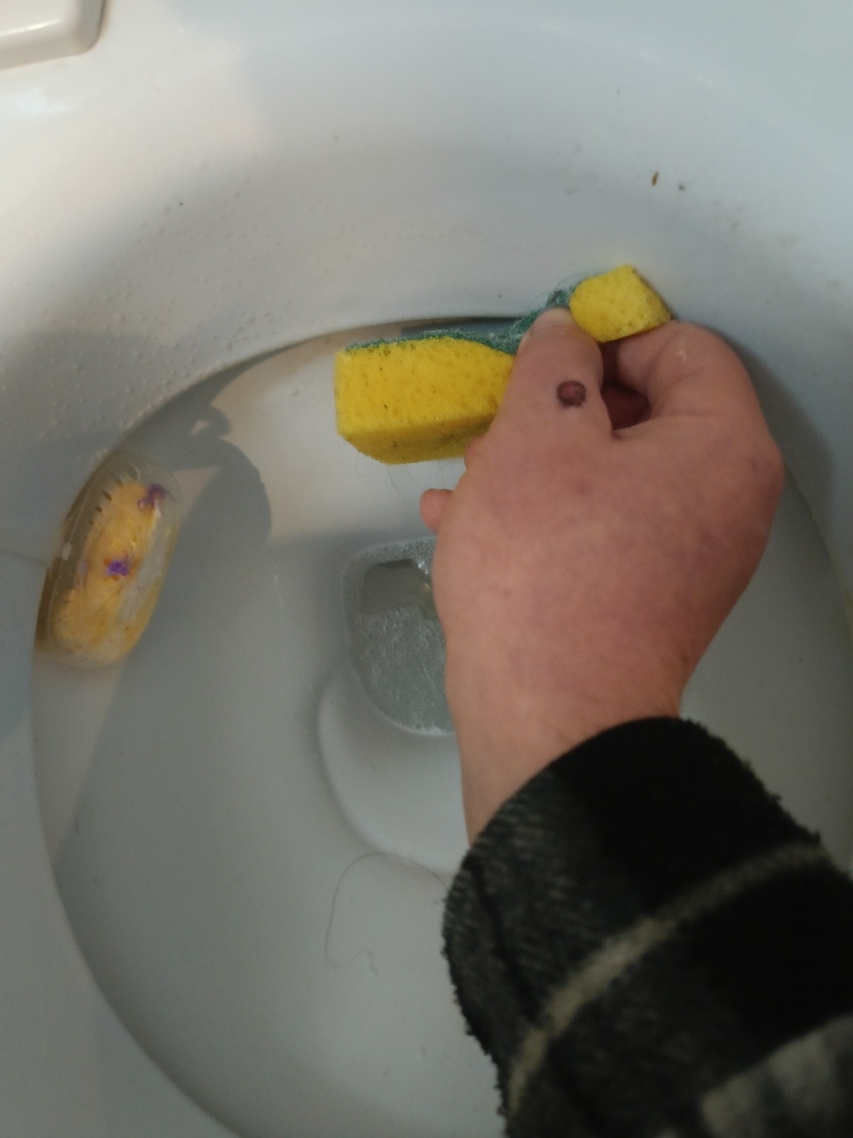 af5f9cb5-2a3c-4c46-993b-b3828b0b9812