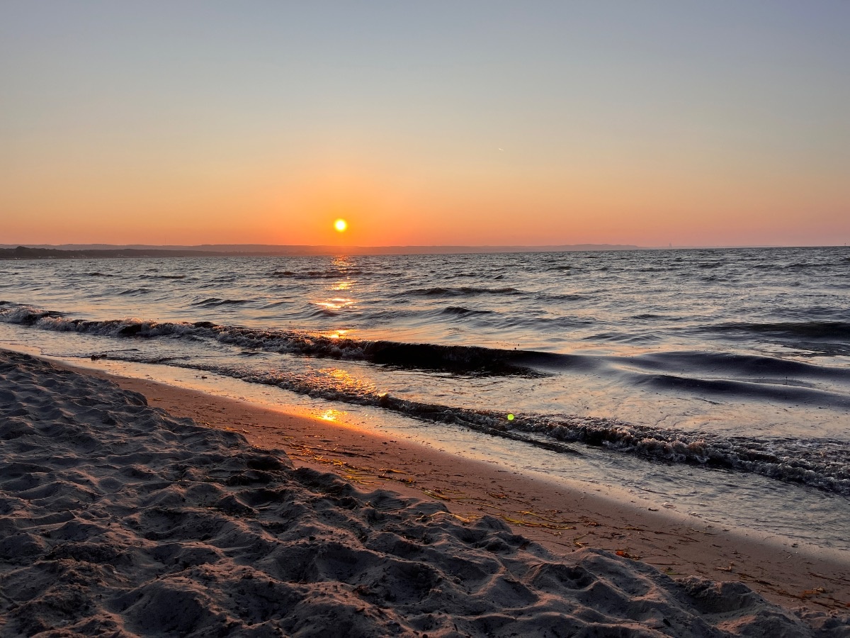 5193ebee-720c-478c-8e87-ae74f4afabee