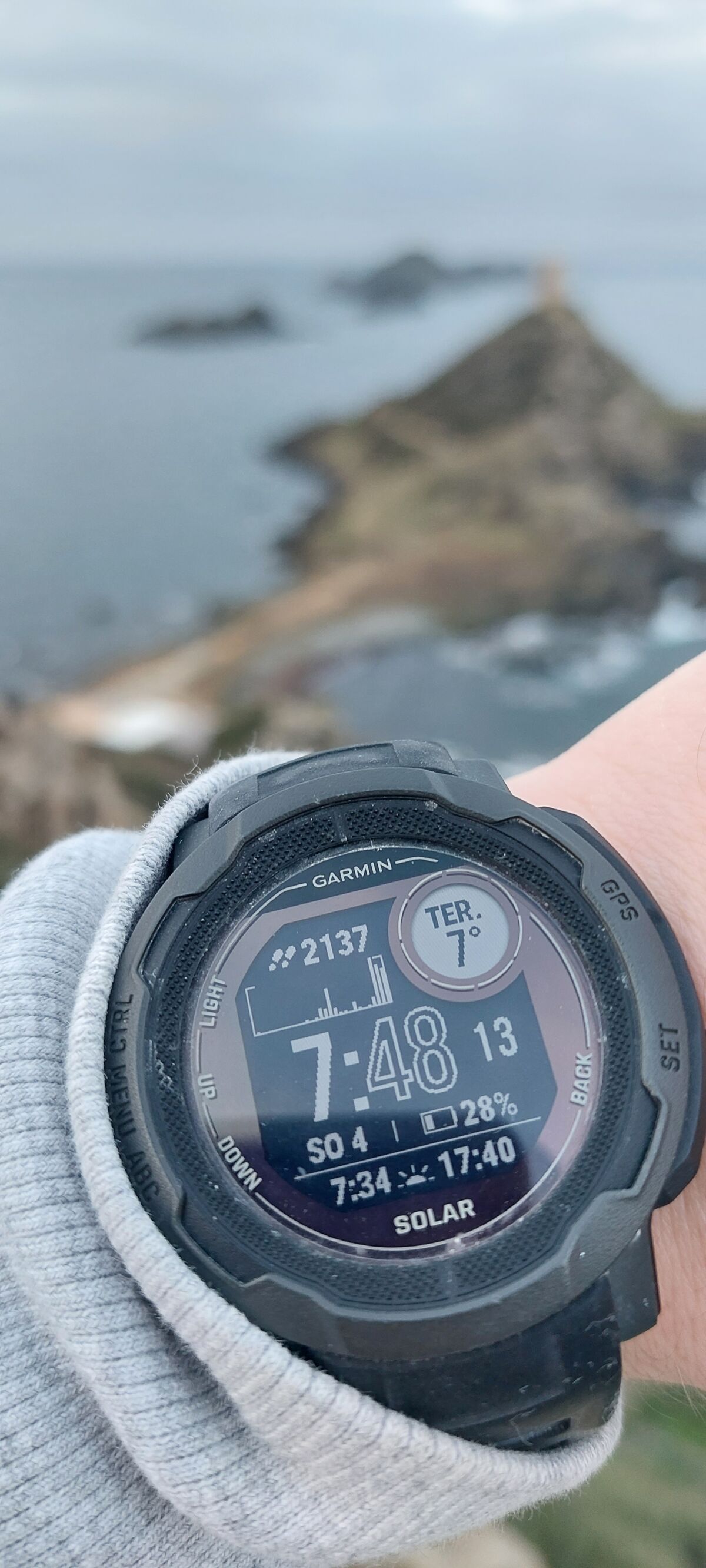 59454050-a06d-4e59-bc46-ee2334513104