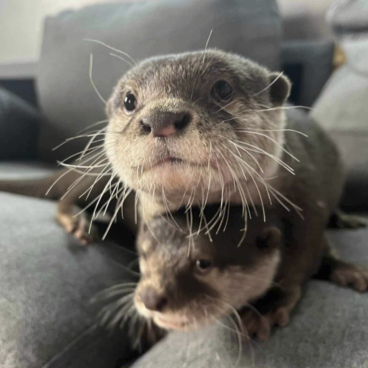 18d73575-9667-4870-856c-2210eaec21b5