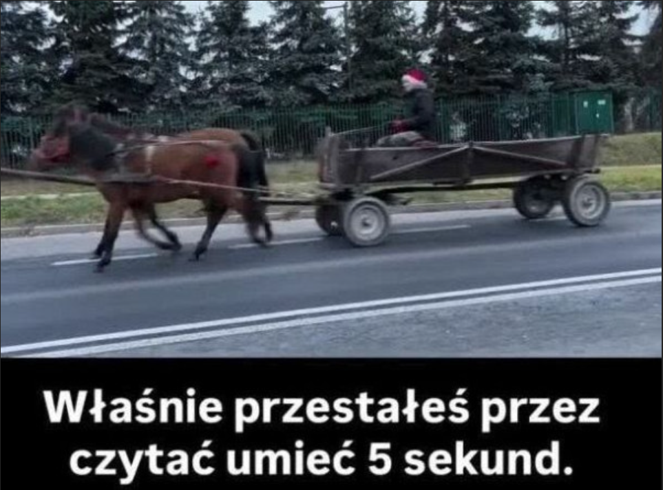 e24af8c4-6abf-4ca0-a485-fc6873c0e30b