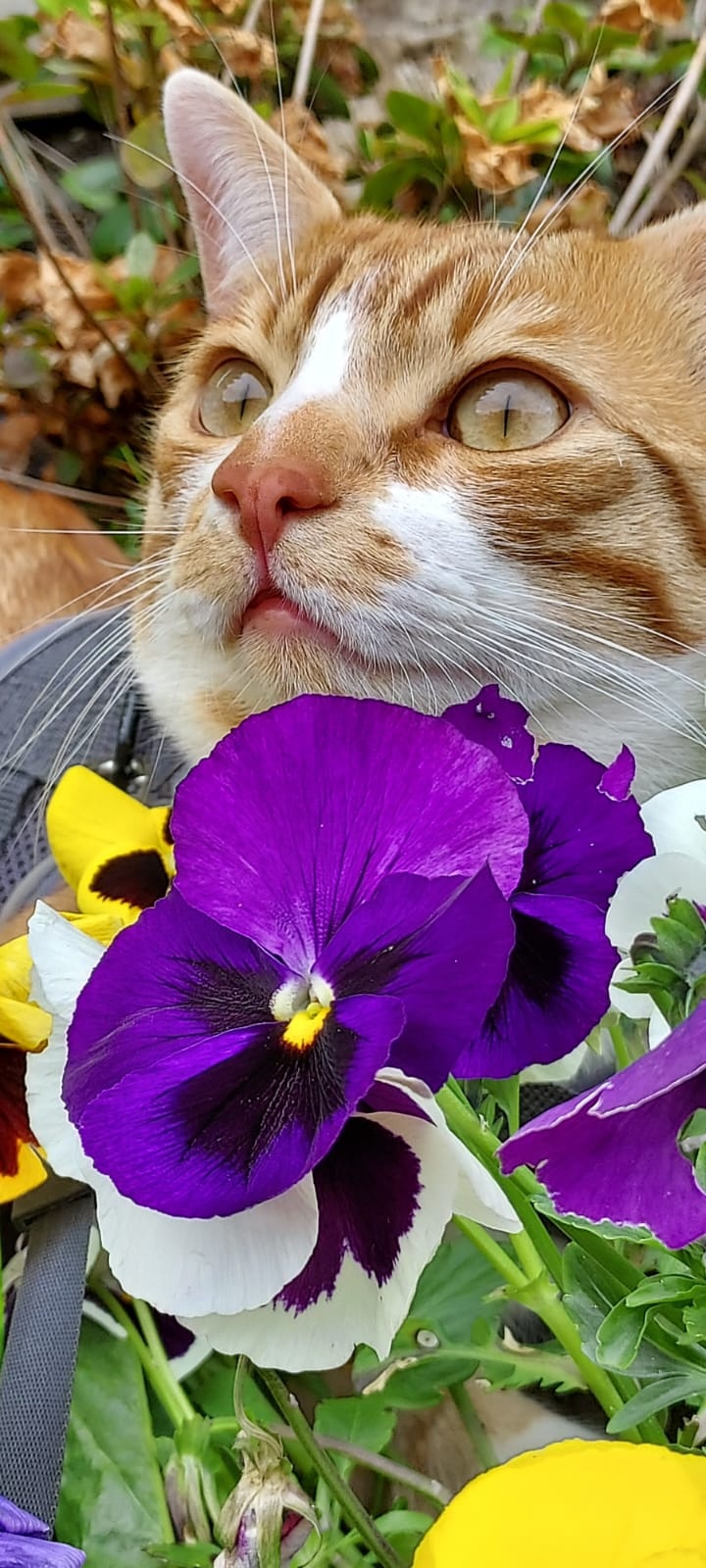 44896108-a8b5-44e6-909c-940d32ca8df9