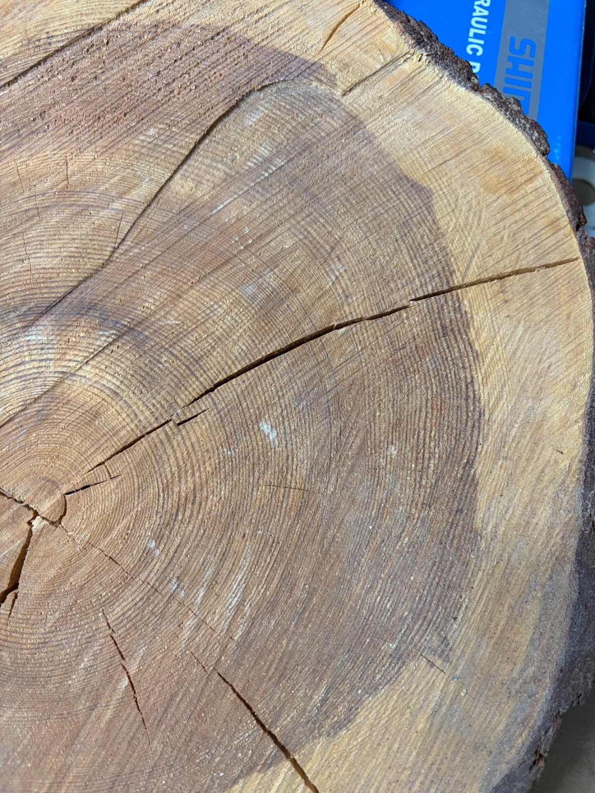 dd22ba10-8069-45e2-b846-6872d42aa77f