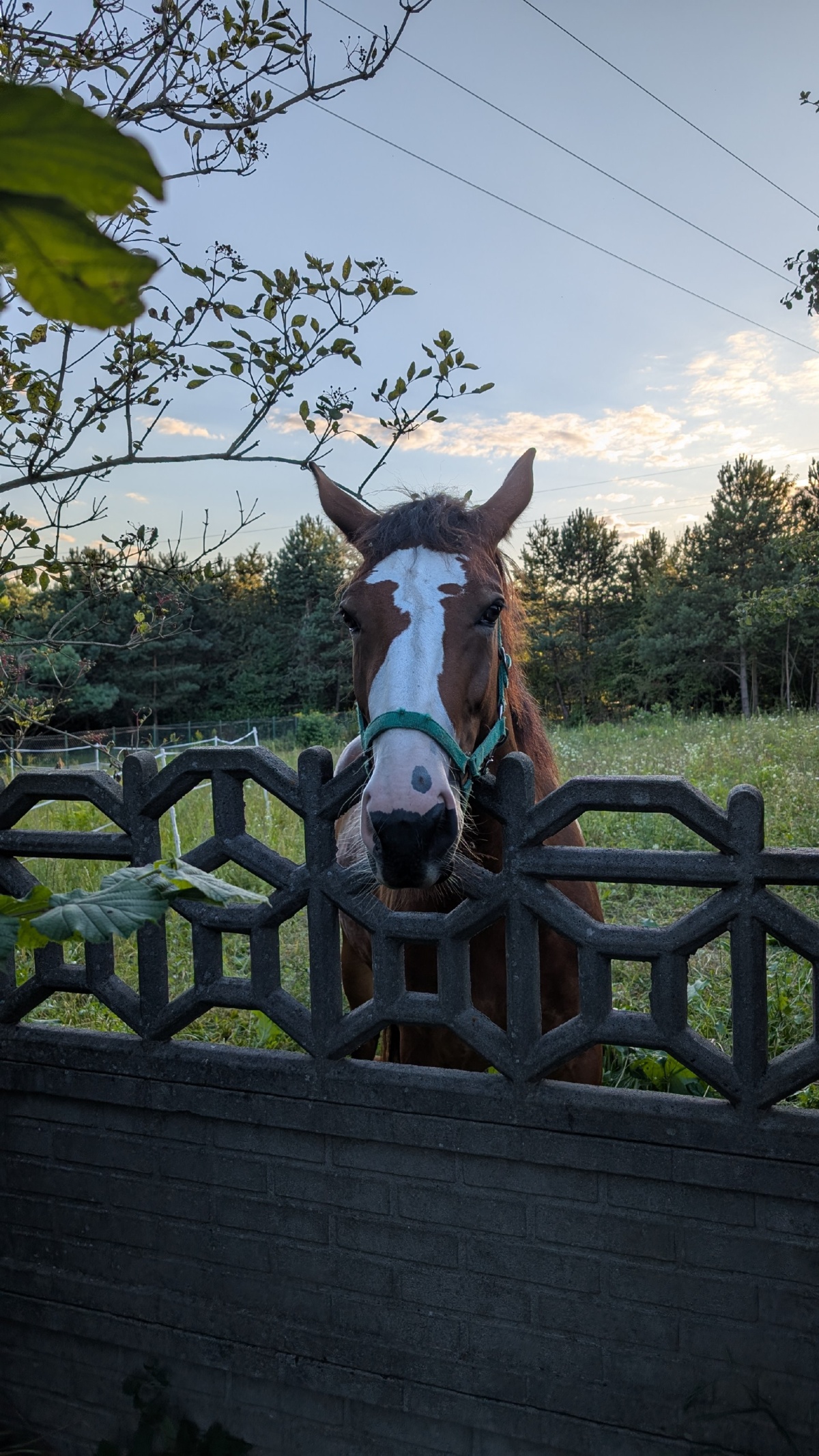 c7387d38-95d9-4d49-9cf7-6aafef502770