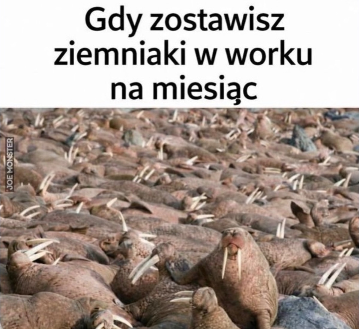 9c903f5e-46df-4f7c-92ef-23a2bf8361da