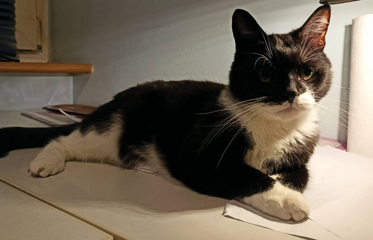 52b2298f-7b94-46da-b02f-cc2ffb878817