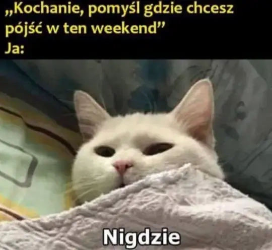 cfa8fc19-afe4-4556-b28a-4ddd6970f4d2