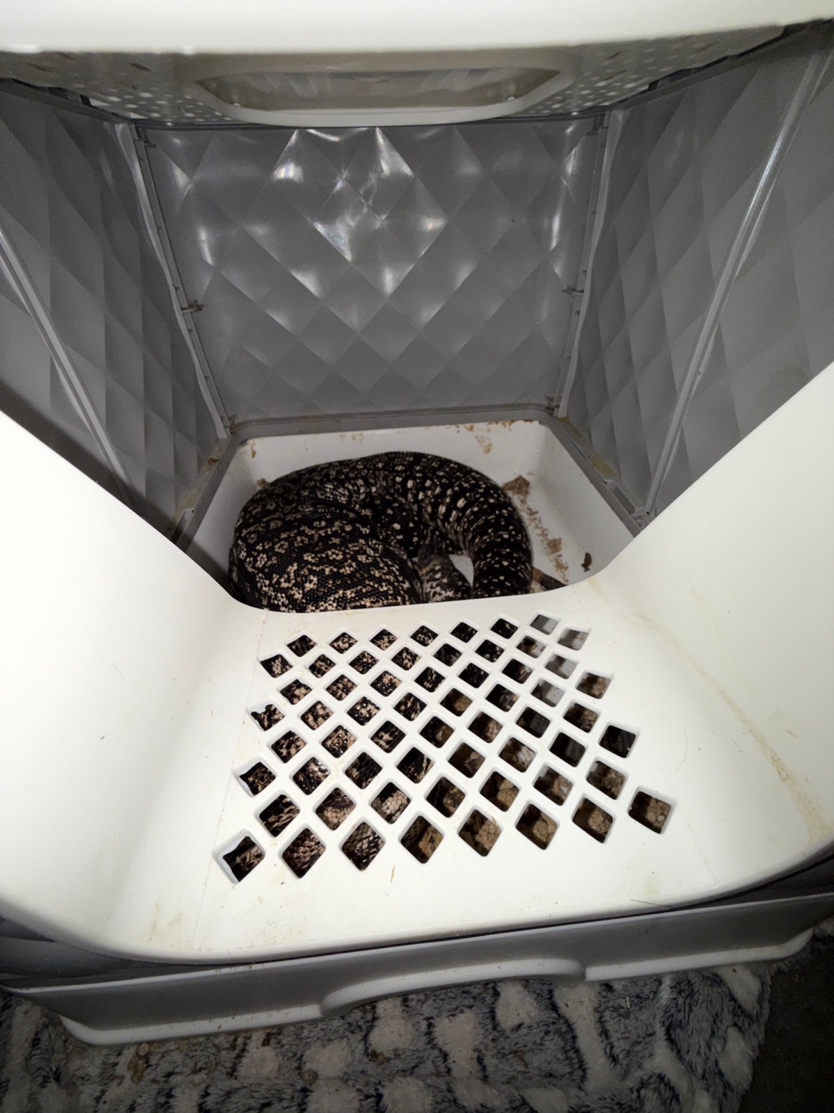 56b86a25-9b54-40c6-8525-b5b36c6bc0e5