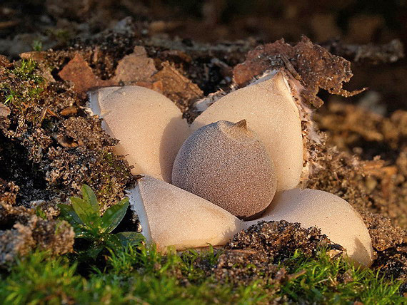 a5f95b59-76d7-4b1c-8060-92dba216e361