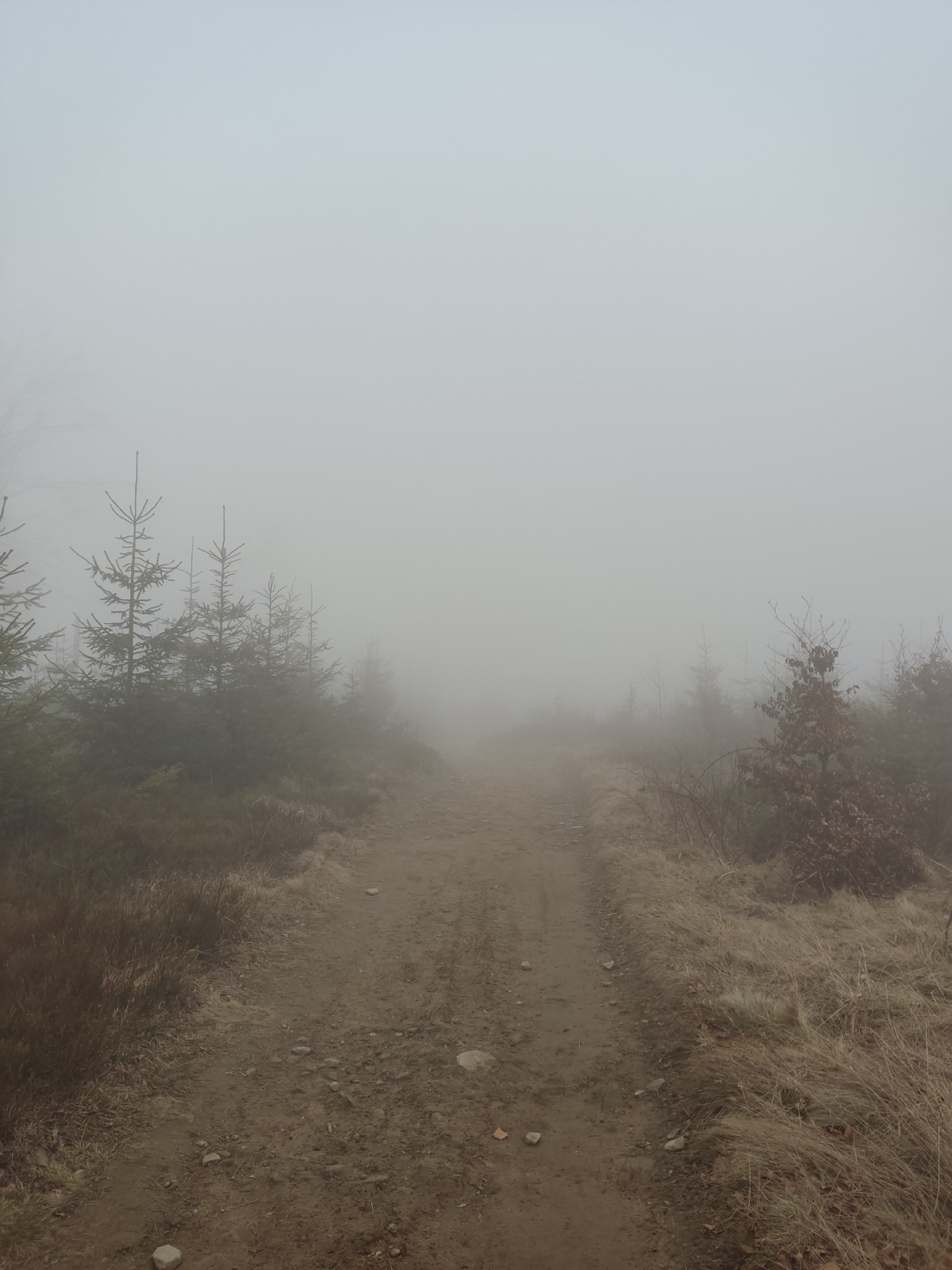 9b1e7a69-3e17-41e7-8316-4f6794dabb64