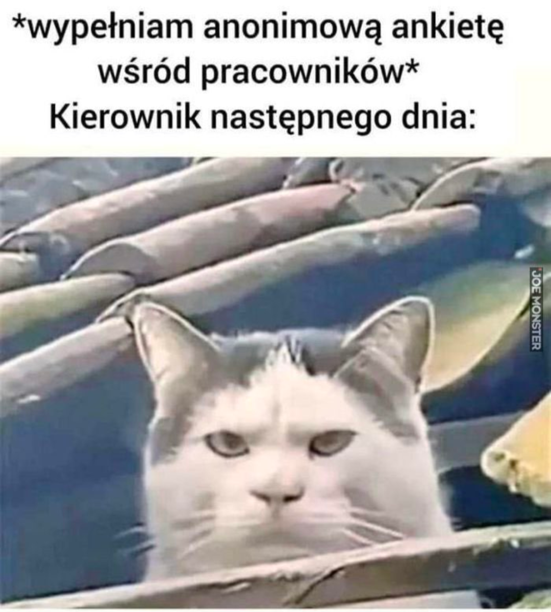 2fc5dc7f-ec7d-4932-b1be-0094ed3db81c