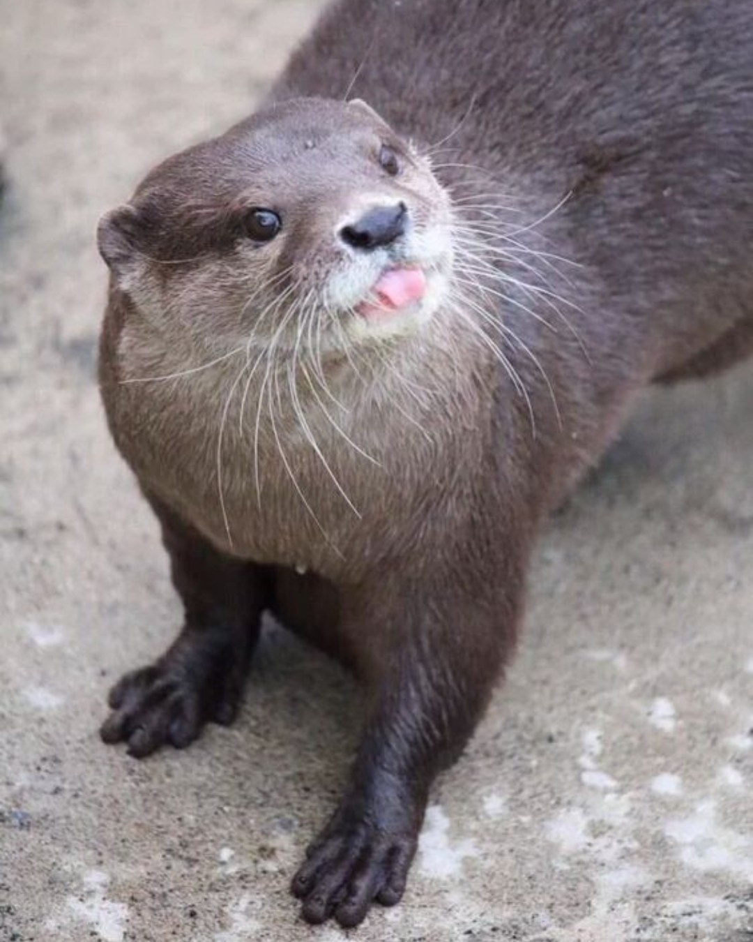 0394cdfe-612e-4a67-91fa-953db2e5752d