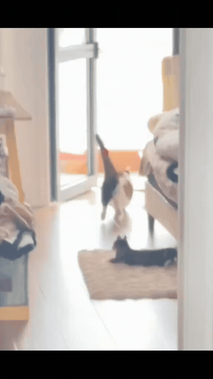 59101dda-ed8e-4cd4-937d-baa51ec20f8b