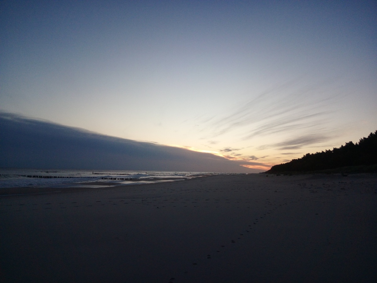 43a98f54-b971-4bd0-b384-2c117edac7c8