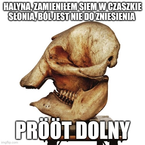 64c7eff5-41a5-4c6a-a58e-21803ced0cad