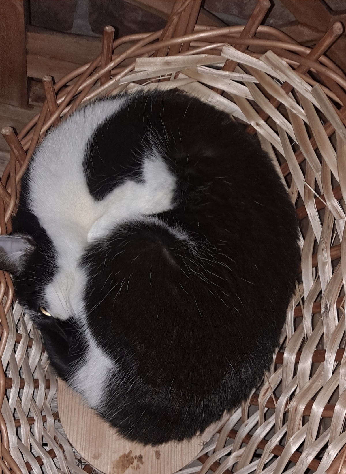 533bba74-7592-4448-9278-8a1b47dcc70d