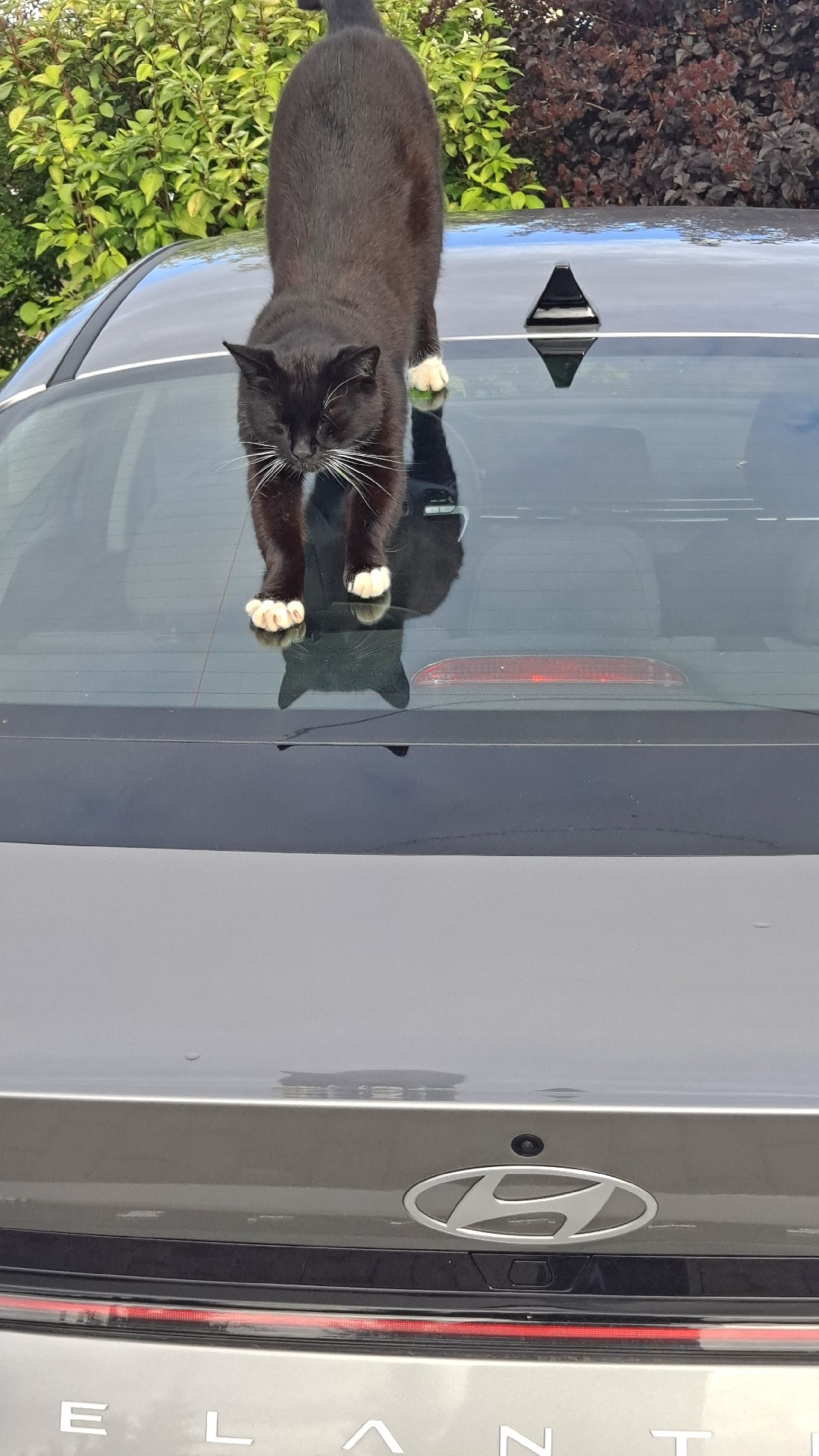 44782f77-7b80-4d1e-b6a6-94f59b8a6380