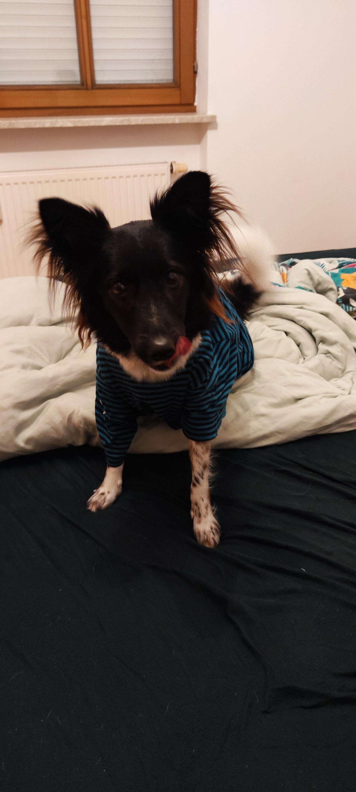 398a74ff-4a06-4ca5-9215-a17a1808a0ce