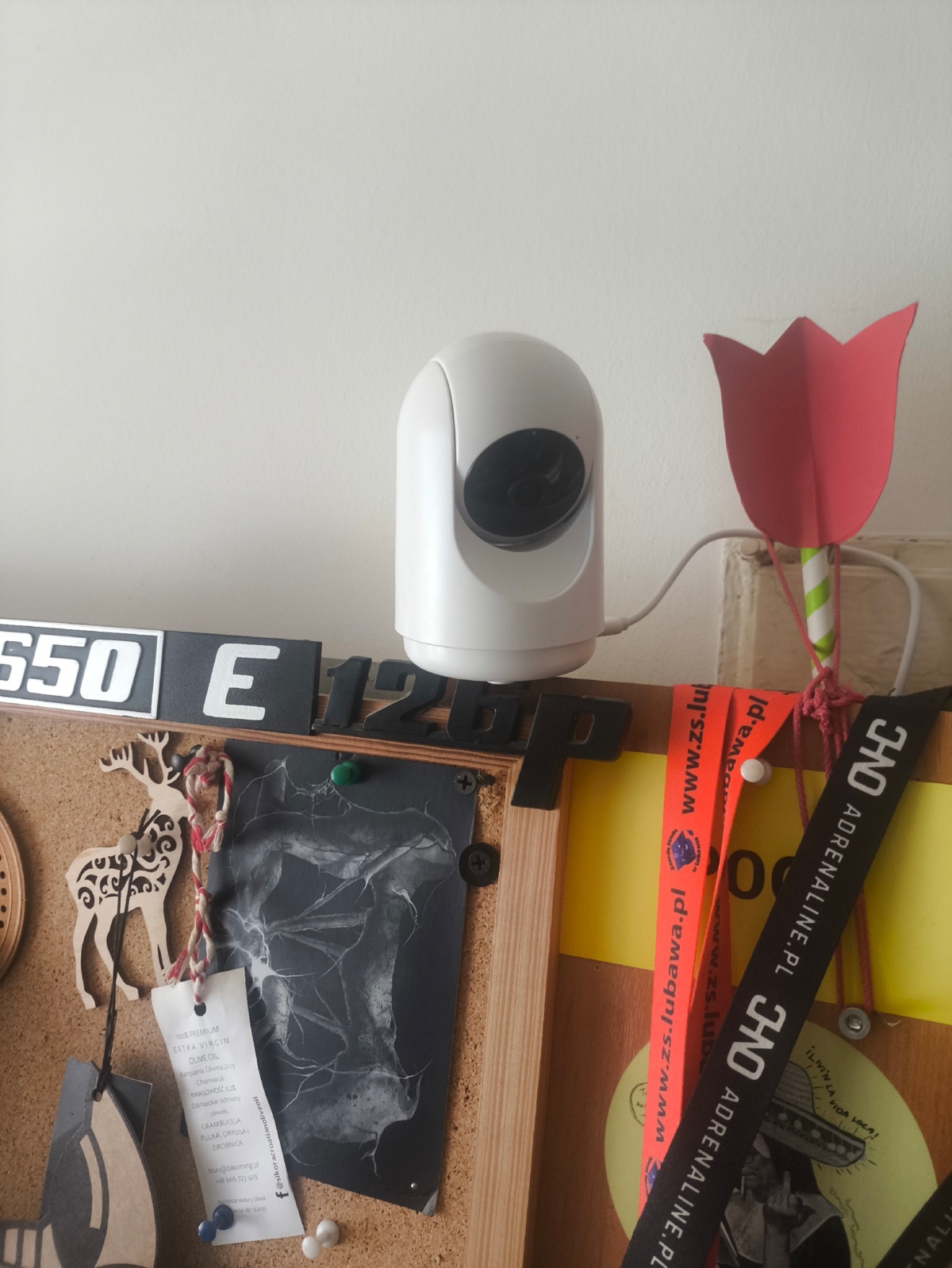 0b1ab795-391f-4662-a7b1-c75b06efd53f