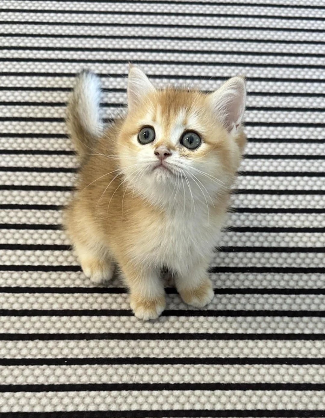 b62d2aa4-e28a-44aa-9249-cad8df4218a3