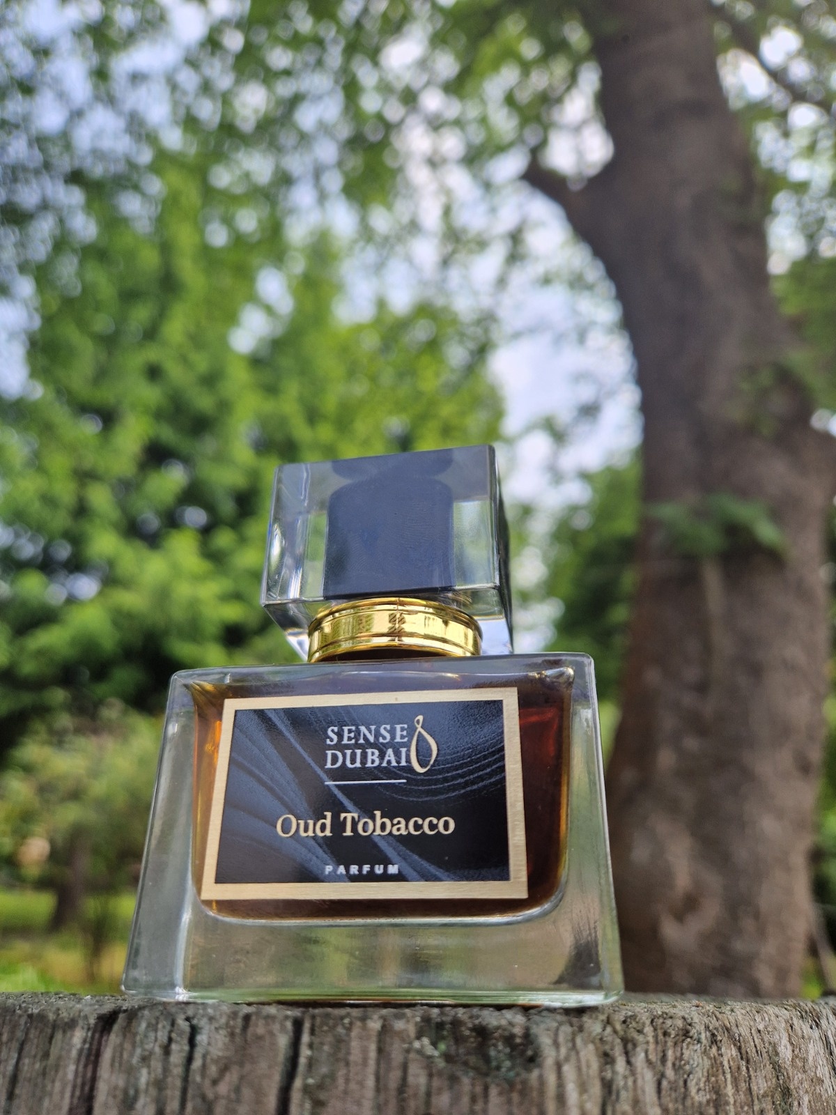 9fdc2576-6d41-4e55-8121-b458092346d0