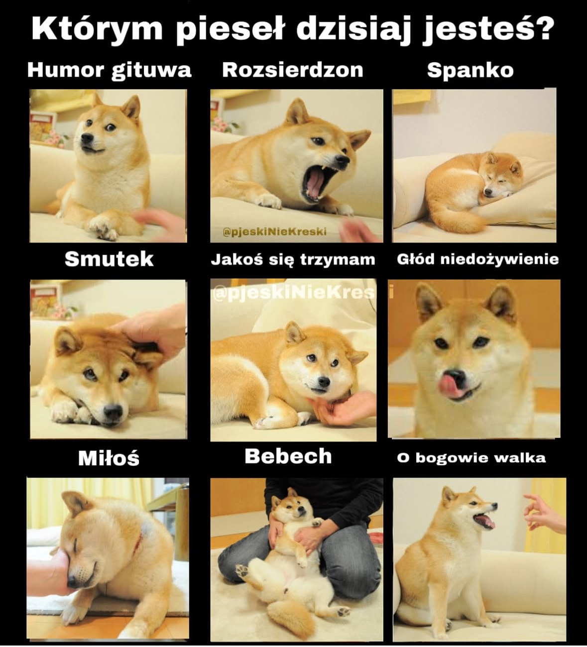 ea4ce1fe-8a71-45fa-bafd-6564407ccbda