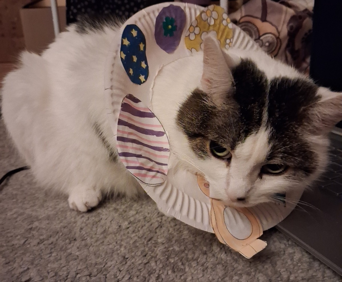 cbbb42b3-4e08-45ac-bb6b-1df52ec8f0bc