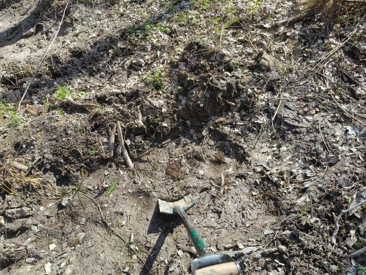 e63d0688-56e3-40da-afd1-83fd5f6cc044